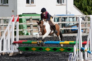 Class 3 -  Fences not above 2'3